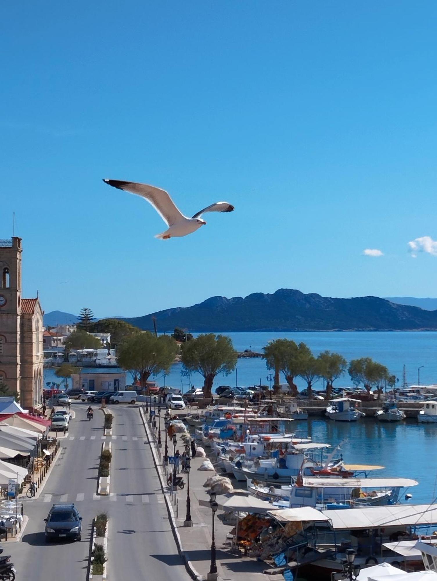 Aegina Port Apt 2-Διαμέρισμα Στο Λιμάνι Της Αίγινας 2 المظهر الخارجي الصورة